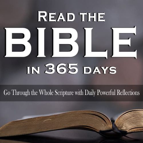 read the bible in 365 days